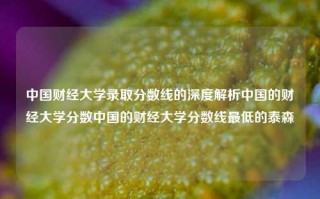 中国财经大学录取分数线的深度解析中国的财经大学分数中国的财经大学分数线最低的泰森