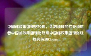 中国邮政集团理财经理，金融领域的专业领航者中国邮政集团理财经理中国邮政集团理财经理岗待遇Chrome