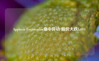 Applovin Corporation盘中异动 股价大跌5.04%