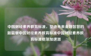 中国财经素养教育标准，塑造未来金融智慧的新篇章中国财经素养教育标准中国财经素养教育标准框架加速器