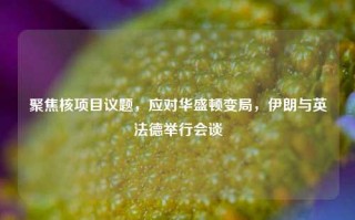 聚焦核项目议题，应对华盛顿变局，伊朗与英法德举行会谈