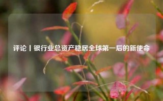 评论丨银行业总资产稳居全球第一后的新使命