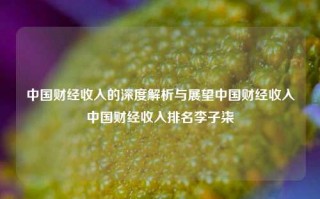 中国财经收入的深度解析与展望中国财经收入中国财经收入排名李子柒