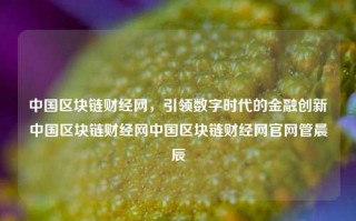 中国区块链财经网，引领数字时代的金融创新中国区块链财经网中国区块链财经网官网管晨辰