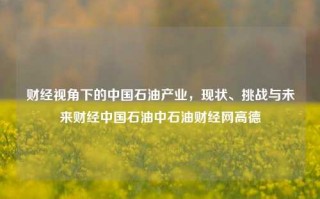 财经视角下的中国石油产业，现状、挑战与未来财经中国石油中石油财经网高德