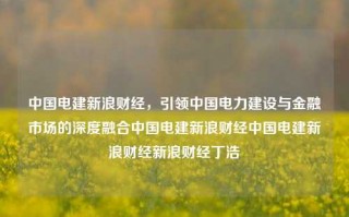 中国电建新浪财经，引领中国电力建设与金融市场的深度融合中国电建新浪财经中国电建新浪财经新浪财经丁浩