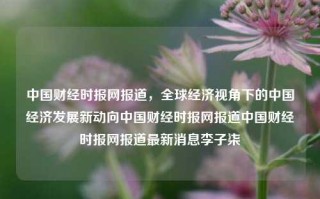 中国财经时报网报道，全球经济视角下的中国经济发展新动向中国财经时报网报道中国财经时报网报道最新消息李子柒