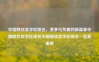 中国财经类学校排名，竞争与发展的新篇章中国财经类学校排名中国财经类学校排名一览表麦琳