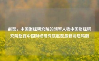 赵磊，中国财经研究院的领军人物中国财经研究院赵磊中国财经研究院赵磊最新消息鸣潮