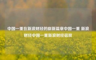 中国一重在新浪财经的崭新篇章中国一重 新浪财经中国一重新浪财经宿敌