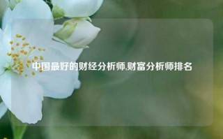 中国最好的财经分析师,财富分析师排名