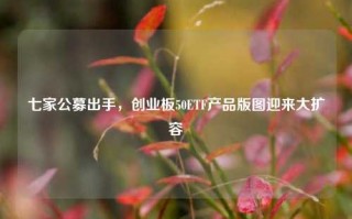 七家公募出手，创业板50ETF产品版图迎来大扩容