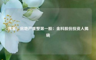 独家！房地产重整第一股：金科股份投资人揭晓