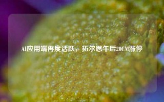 AI应用端再度活跃，拓尔思午后20CM涨停