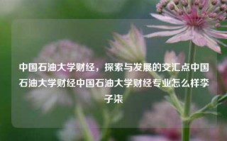 中国石油大学财经，探索与发展的交汇点中国石油大学财经中国石油大学财经专业怎么样李子柒