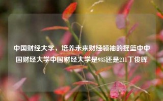 中国财经大学，培养未来财经领袖的摇篮中中国财经大学中国财经大学是985还是211丁俊晖