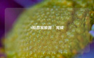 A股首家披露：完成