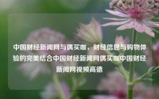 中国财经新闻网与偶买咖，财经信息与购物体验的完美结合中国财经新闻网偶买咖中国财经新闻网视频高德