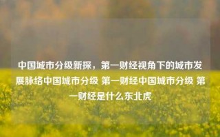 中国城市分级新探，第一财经视角下的城市发展脉络中国城市分级 第一财经中国城市分级 第一财经是什么东北虎