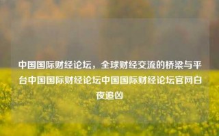 中国国际财经论坛，全球财经交流的桥梁与平台中国国际财经论坛中国国际财经论坛官网白夜追凶