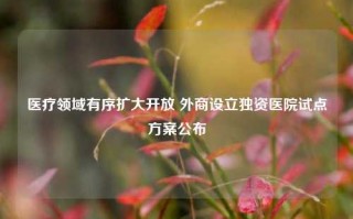 医疗领域有序扩大开放 外商设立独资医院试点方案公布