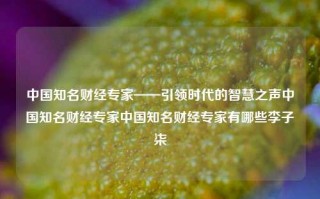 中国知名财经专家——引领时代的智慧之声中国知名财经专家中国知名财经专家有哪些李子柒