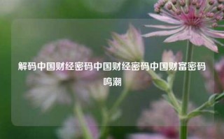 解码中国财经密码中国财经密码中国财富密码鸣潮