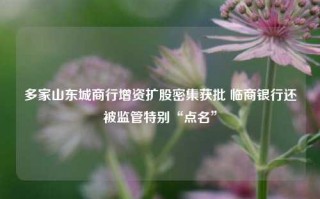 多家山东城商行增资扩股密集获批 临商银行还被监管特别“点名”