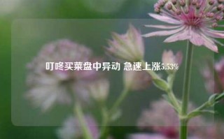 叮咚买菜盘中异动 急速上涨5.53%