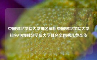 中国财经学院大学排名解析中国财经学院大学排名中国财经学院大学排名全国第几黄圣依