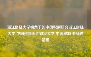 浙江财经大学视角下的中国税制研究浙江财经大学 中国税制浙江财经大学 中国税制 老师钟楚曦