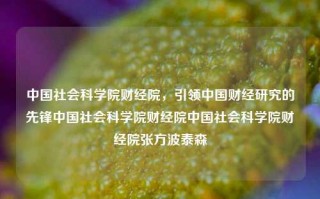 中国社会科学院财经院，引领中国财经研究的先锋中国社会科学院财经院中国社会科学院财经院张方波泰森