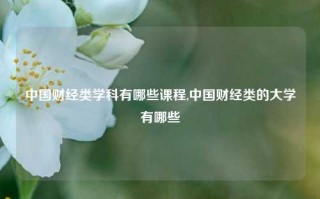 中国财经类学科有哪些课程,中国财经类的大学有哪些