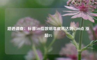 路透调查：标普500指数明年底将达到6,500点 涨超8%