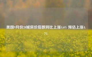 美国9月份20城房价指数同比上涨4.6% 预估上涨4.7%