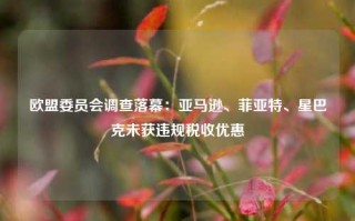 欧盟委员会调查落幕：亚马逊、菲亚特、星巴克未获违规税收优惠