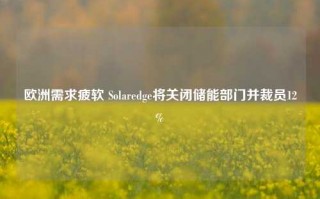 欧洲需求疲软 Solaredge将关闭储能部门并裁员12%