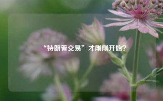 “特朗普交易”才刚刚开始？