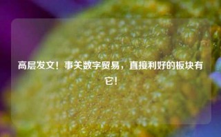 高层发文！事关数字贸易，直接利好的板块有它！