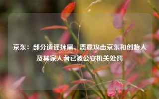 京东：部分造谣抹黑、恶意攻击京东和创始人及其家人者已被公安机关处罚