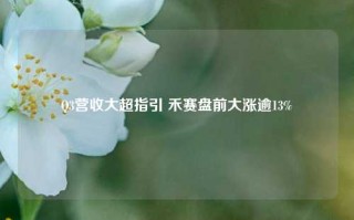 Q3营收大超指引 禾赛盘前大涨逾13%