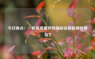 今日视点：一桩高质量并购案应该具备哪些特征？