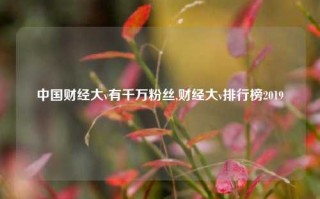 中国财经大v有千万粉丝,财经大v排行榜2019