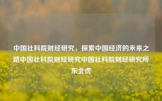 中国社科院财经研究，探索中国经济的未来之路中国社科院财经研究中国社科院财经研究所东北虎