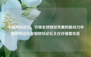 中国财经论坛，引领全球财经发展的新动力中国财经论坛中国财经论坛主任许镪雷佳音