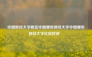 中国财经大学概览中国哪些财经大学中国哪些财经大学比较好钟睒睒