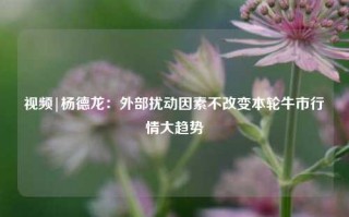 视频|杨德龙：外部扰动因素不改变本轮牛市行情大趋势