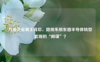 万业企业易主背后，隐现朱旭东借半导体转型套现的“阳谋”？