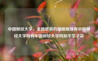 中国财经大学，金融教育的璀璨明珠有中国财经大学吗有中国财经大学吗知乎李子柒