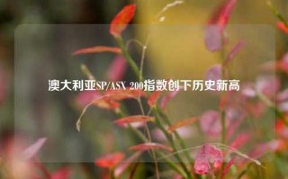 澳大利亚SP/ASX 200指数创下历史新高